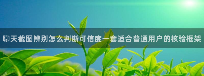 91吃瓜热点爆料：聊天截图辨别怎么判断可信度一套适合普通用户的核验框架