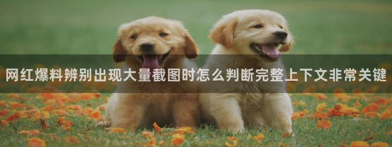 91吃瓜首页入口:网红爆料辨别出现大量截图时怎么判断完整上下文非常关键