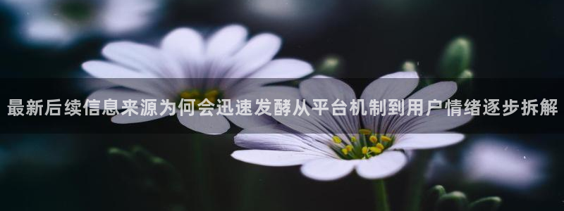 91吃瓜今日热搜榜：最新后续信息来源为何会迅速发酵从平台机制到用户情绪逐步拆解