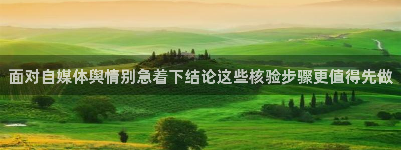 91吃瓜内容大全：面对自媒体舆情别急着下结论这些核验步骤更值得先做