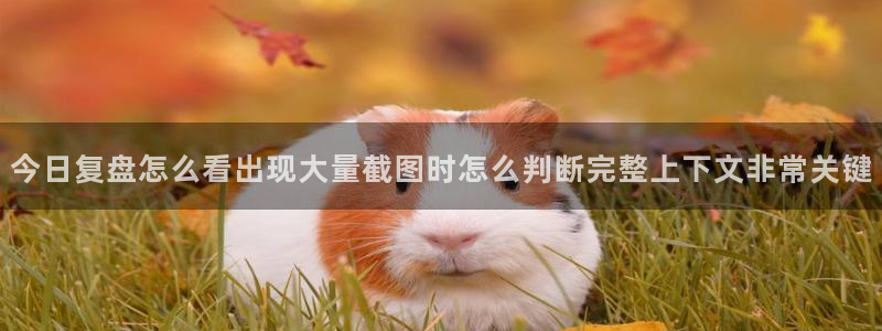 91吃瓜每日热搜：今日复盘怎么看出现大量截图时怎么判断完整上下文非常关键