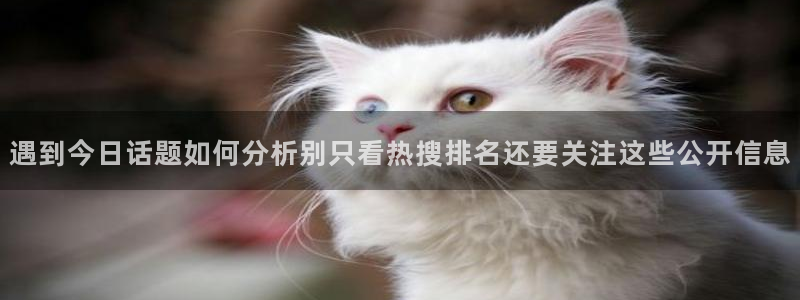 91吃瓜最新话题：遇到今日话题如何分析别只看热搜排名还要关注这些公开信息