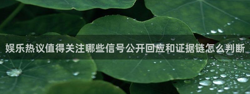吃瓜网址大全：娱乐热议值得关注哪些信号公开回应和证据链怎么判断