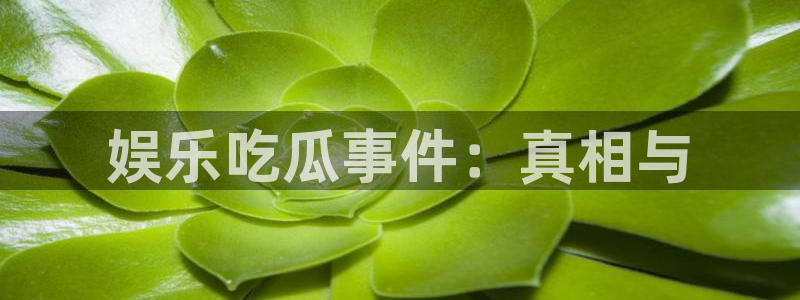 吃瓜事件动态